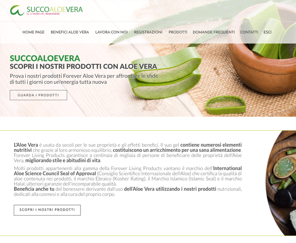 PORTFOLIO_SUCCOALOEVERA